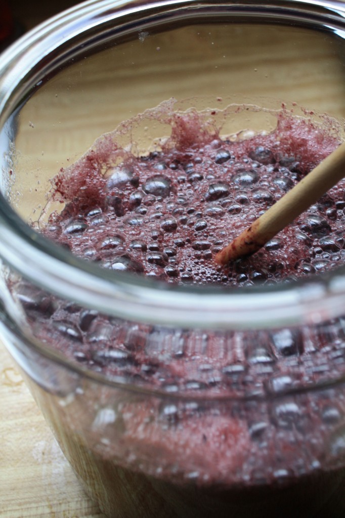 Concord Grape Soda- add ¼ cup of elderflower syrup