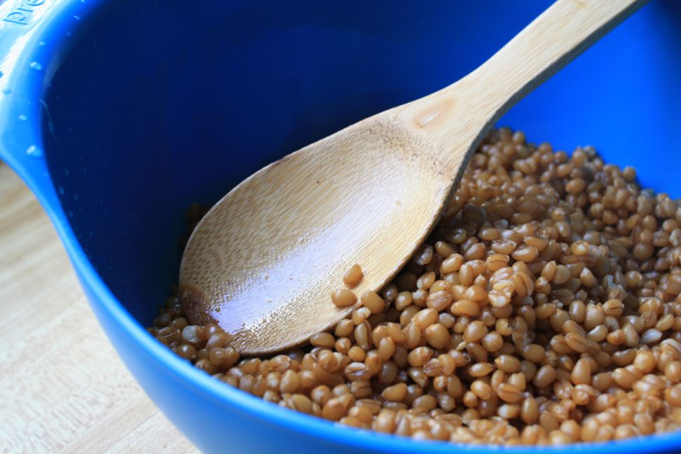 cooked whole wheat berries