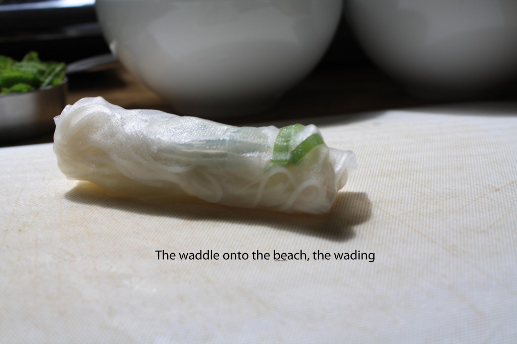 the waddle onto the beach
