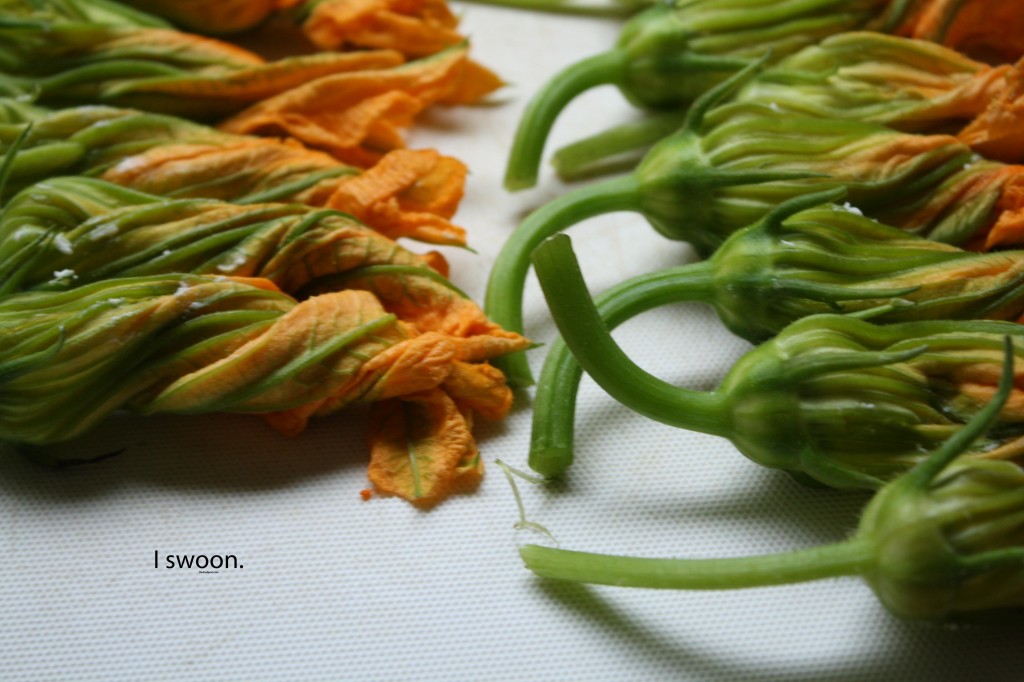 Squash-Blossom-Poppers-Food-Poetry