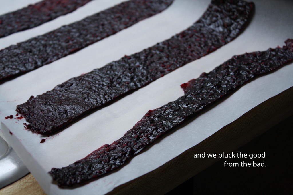 blackberry-chile-lime-fruit-leather-food-poetry
