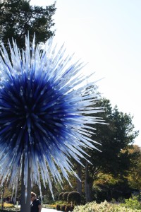 Dallas-Arboretum-Chihuly-Blue-Star