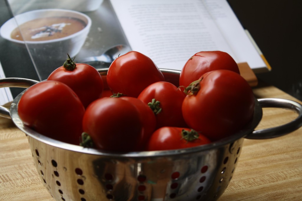 Tomato Poem | The Food Poet