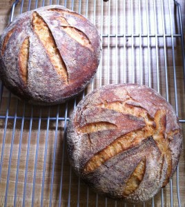 Sourdough Bread - the food poet