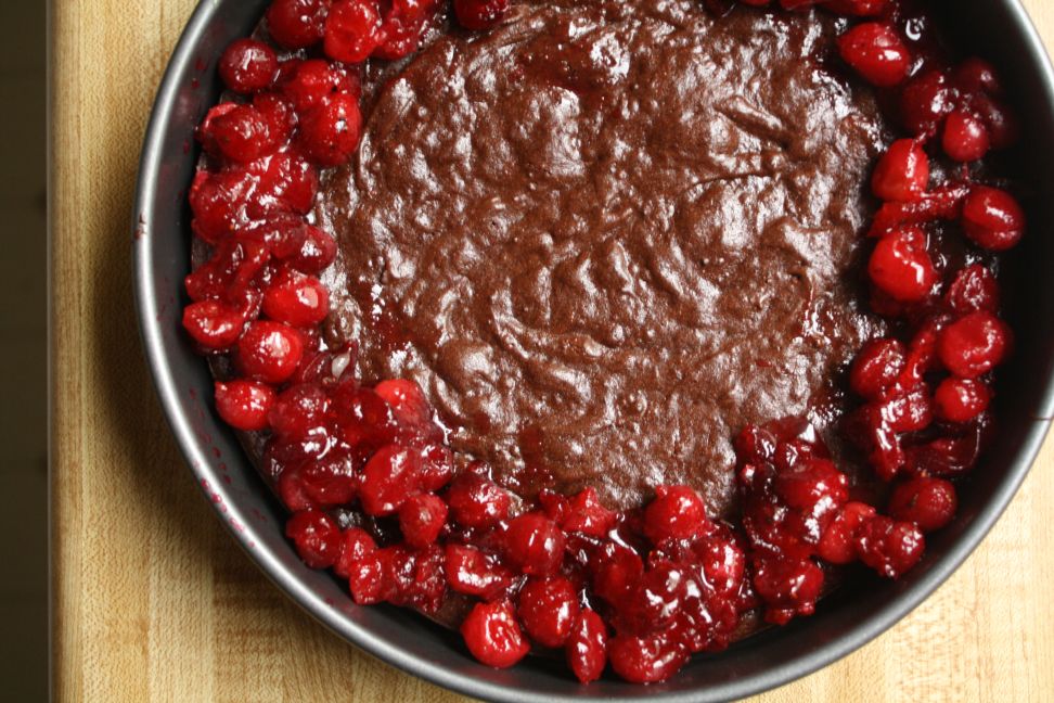 DESSERT RECIPES- Bittersweet Chocolate Cake with Candied Cranberries