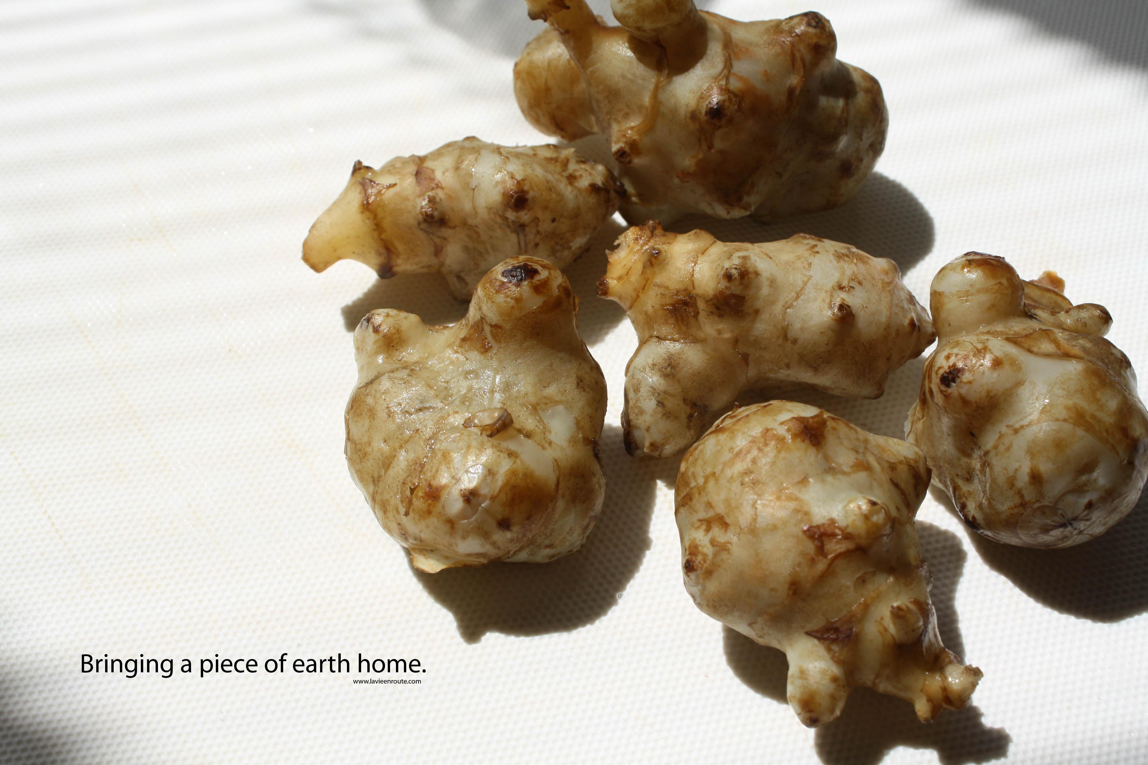 sunchokes - Jerusalem artichokes