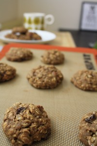 DESSERT RECIPES- Spiced Oatmeal Pumpkin Pecan Cookies