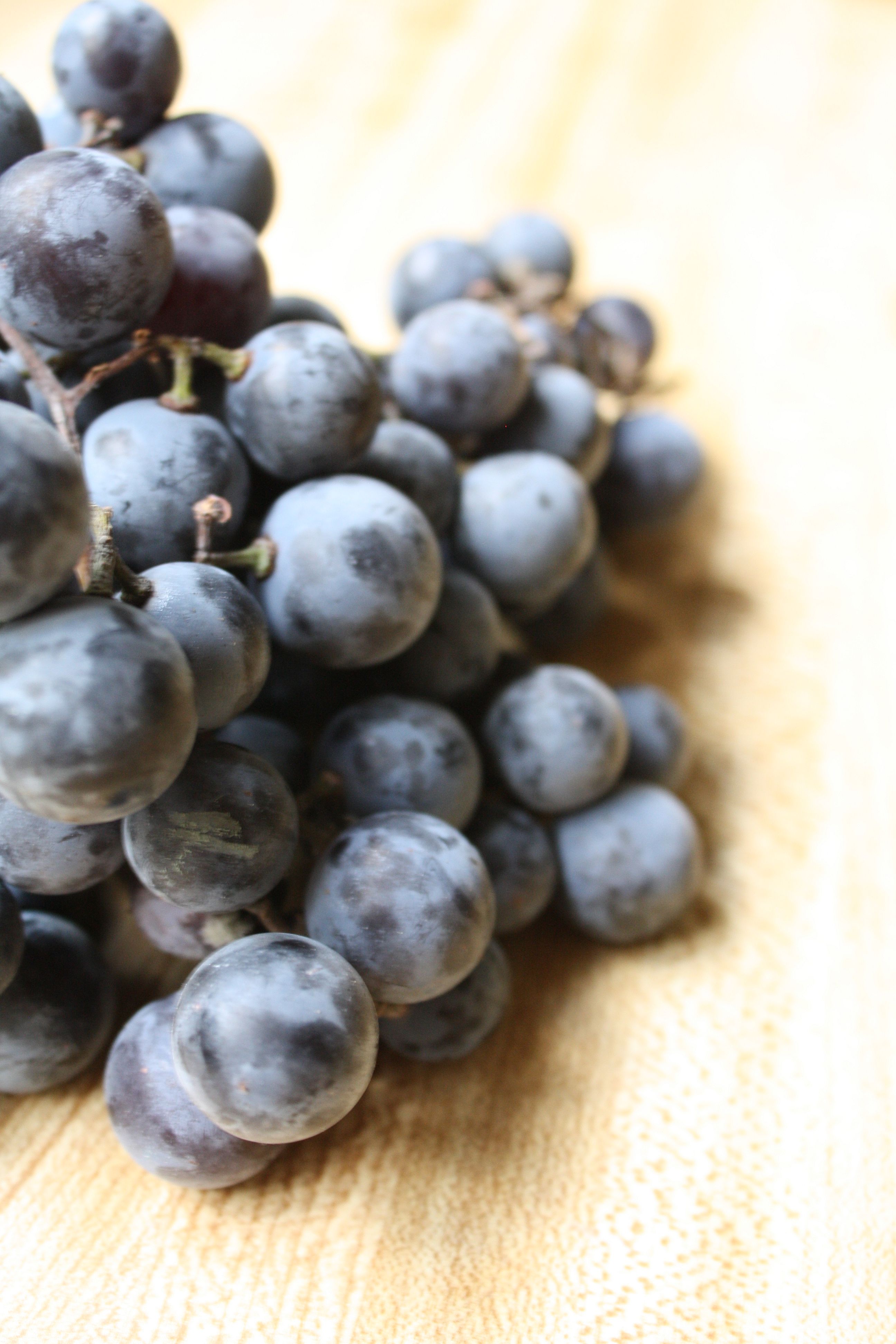 take a bunch of concord grapes