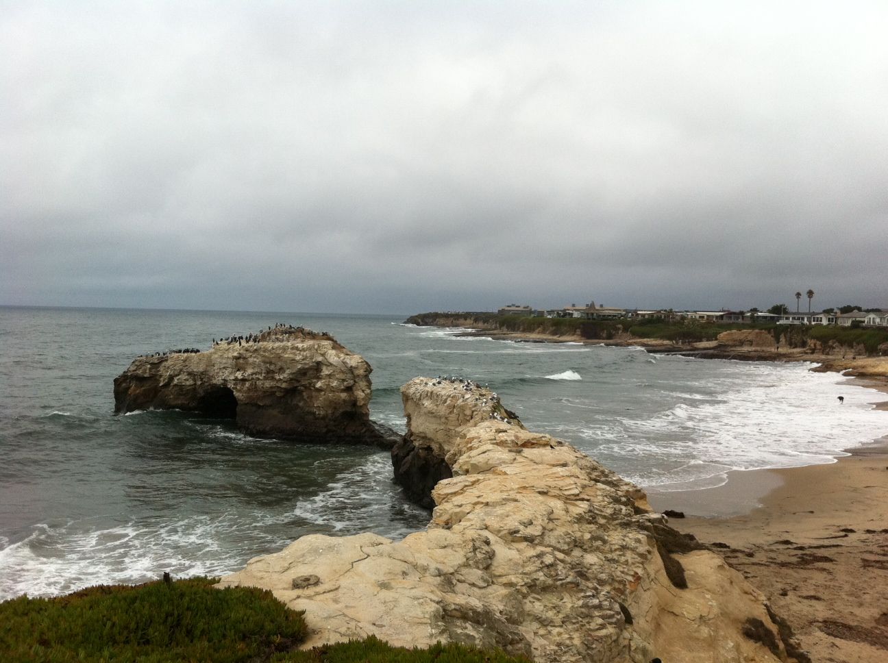 Santa Cruz Cliffs