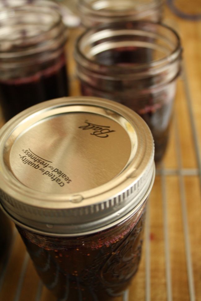 CANNING RECIPES- Morado Fig Concord Grape Jam