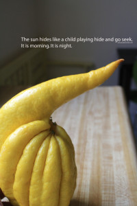 Buddhettes Food Poetry