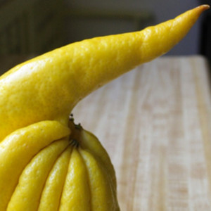buddhettes food photo poetry