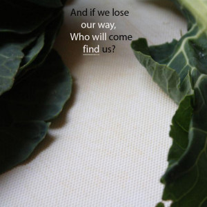 bulgur food photo poetry