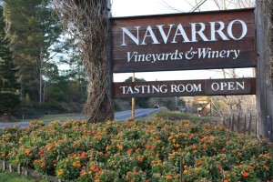 navarro vineyard mendocino