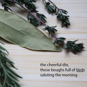 white beans food photo poetry