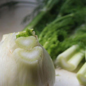 fennel