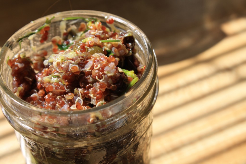 Lemon Quinoa with Currants, Dill and Zucchini from Ancient Grains for Modern Meals