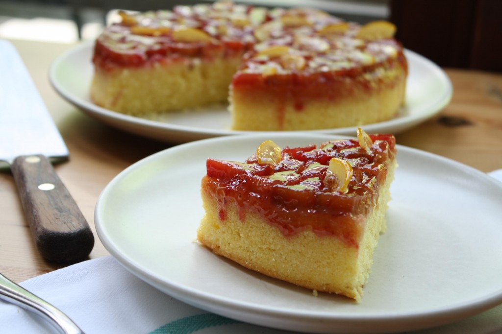 rhubarb_cake_anneliesz