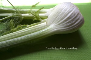 Fresh Fennel Lychee Spring Rolls Food Poetry