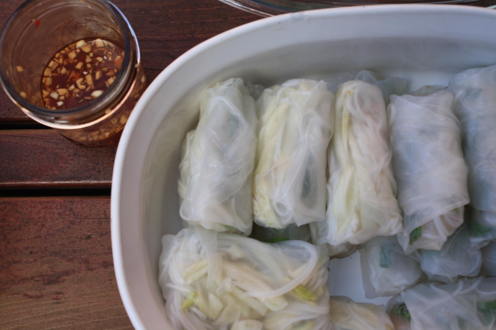 VEGETARIAN RECIPES- Fresh-Fennel-Lychee-Spring-Rolls-with-Black-Tea-Dipping-Sauce_IMG7743