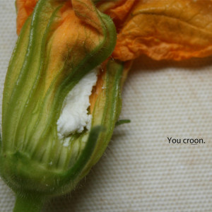 squash blossoms food photo poetry