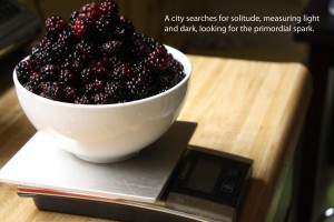 Blackberry Chile Lime Fruit Leather Food Poetry