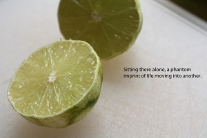 blackberry-chile-lime-fruit-leather-food-poetry