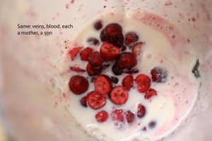 Cranberry Lassi Food Poetry - The Food Poet