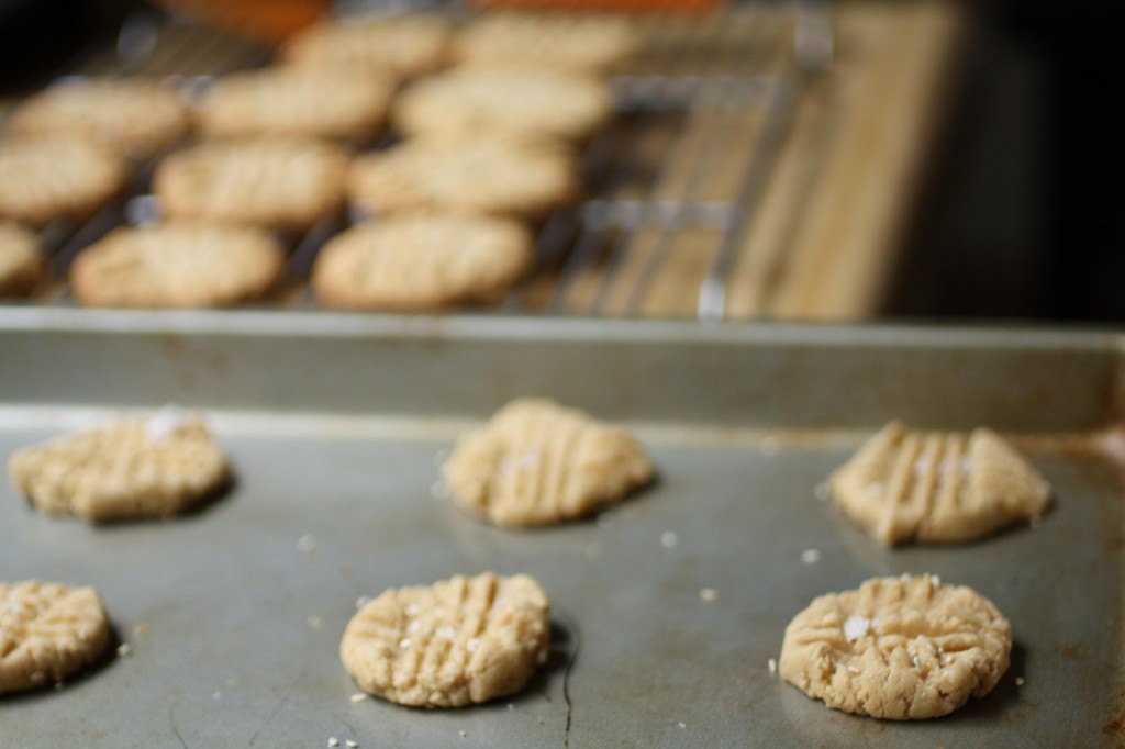 Tahini Butter Cookies