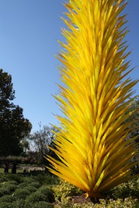 Dallas-Arboretum-Chihuly-Yellow-Tree