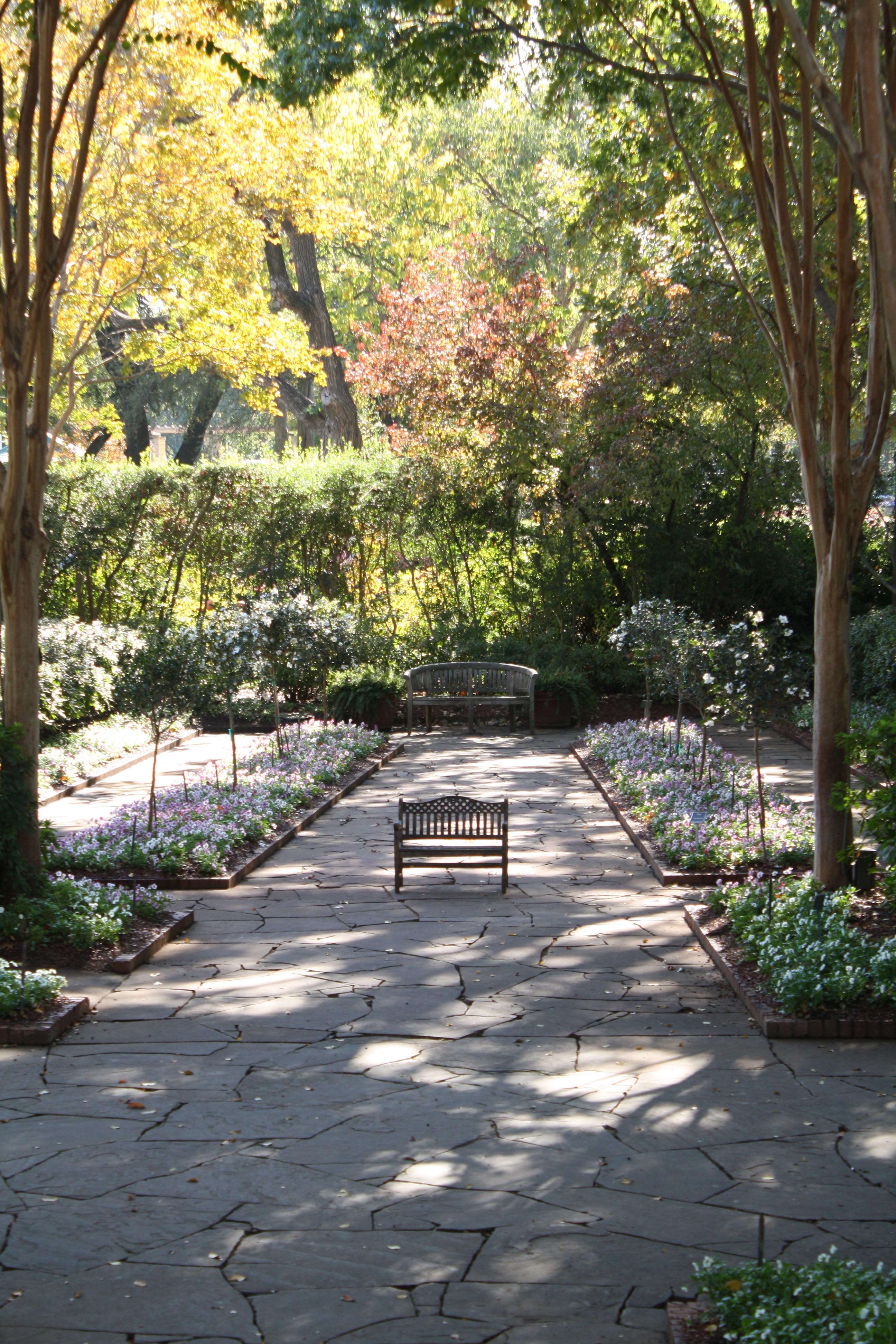 Dallas-Arboretum-Grove-Bench