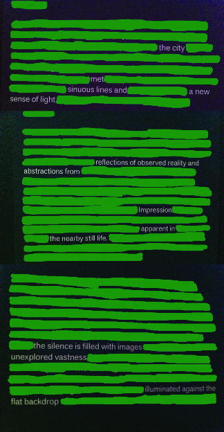 Erasure Poem- Paley at DeYoung