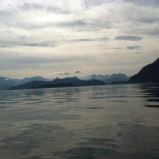 tutka bay alaska