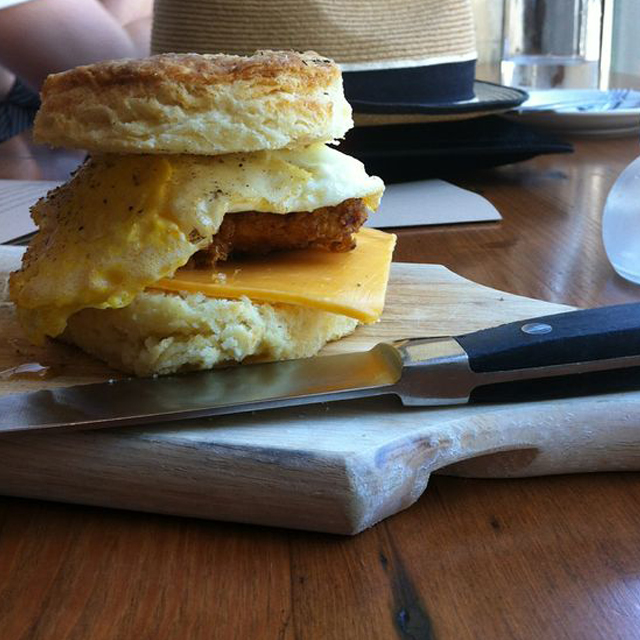 PDX tasty n alder chicken biscuit