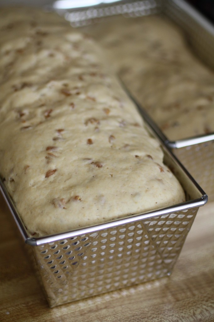 Sourdough Starter Recycled Grain Loaf