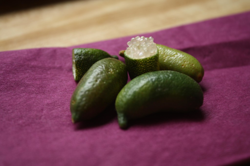 Finger Limes_IMG_6593