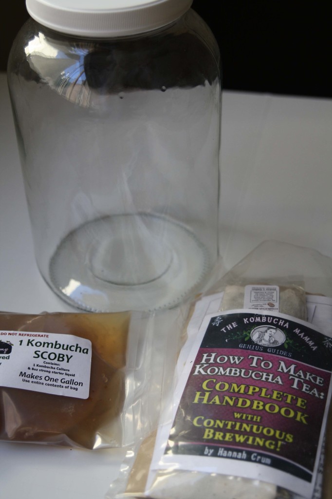 HOLIDAY GIFT GUIDE 2013- Kombucha Mamma Kit_7053