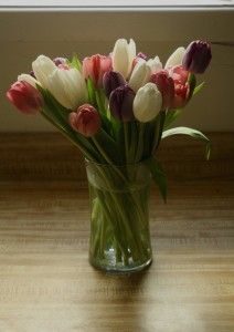 tulips for the cancer caregiver