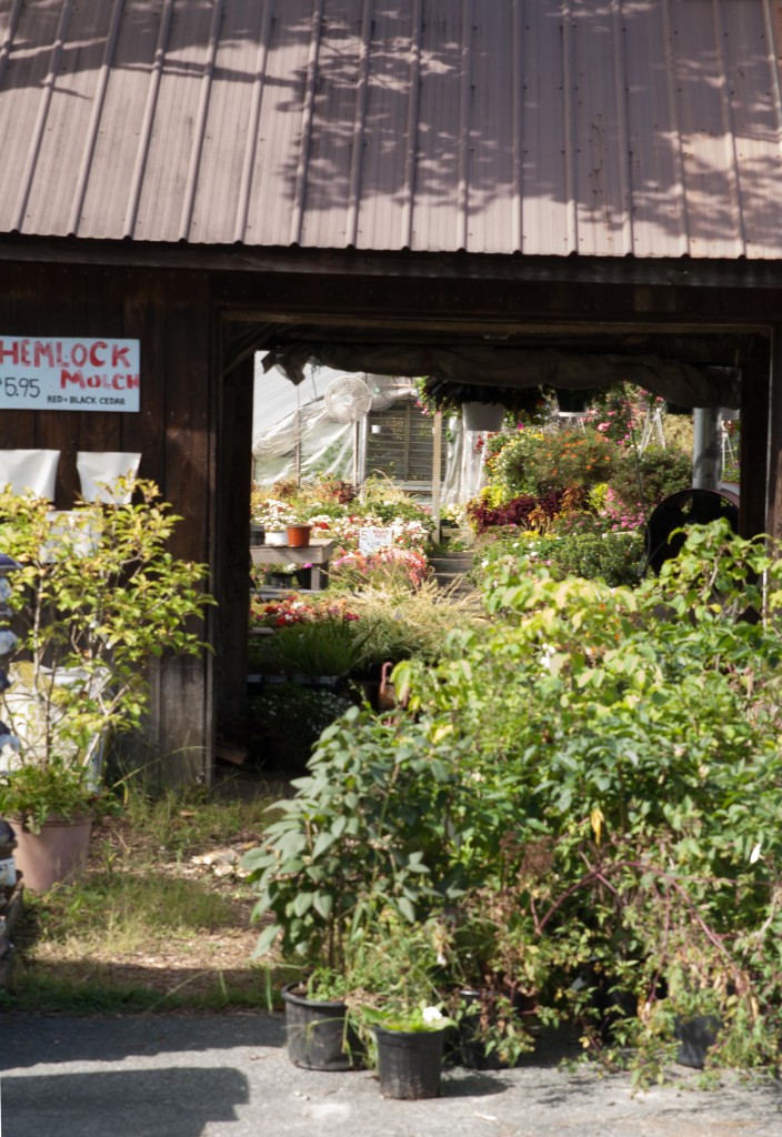 Dutton Farmstand Vermont