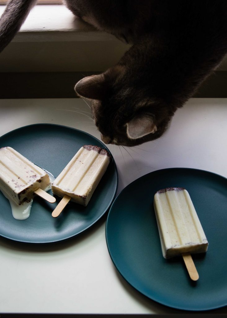 One of the cats heard the siren song of the Mint Basil Chip Popsicles