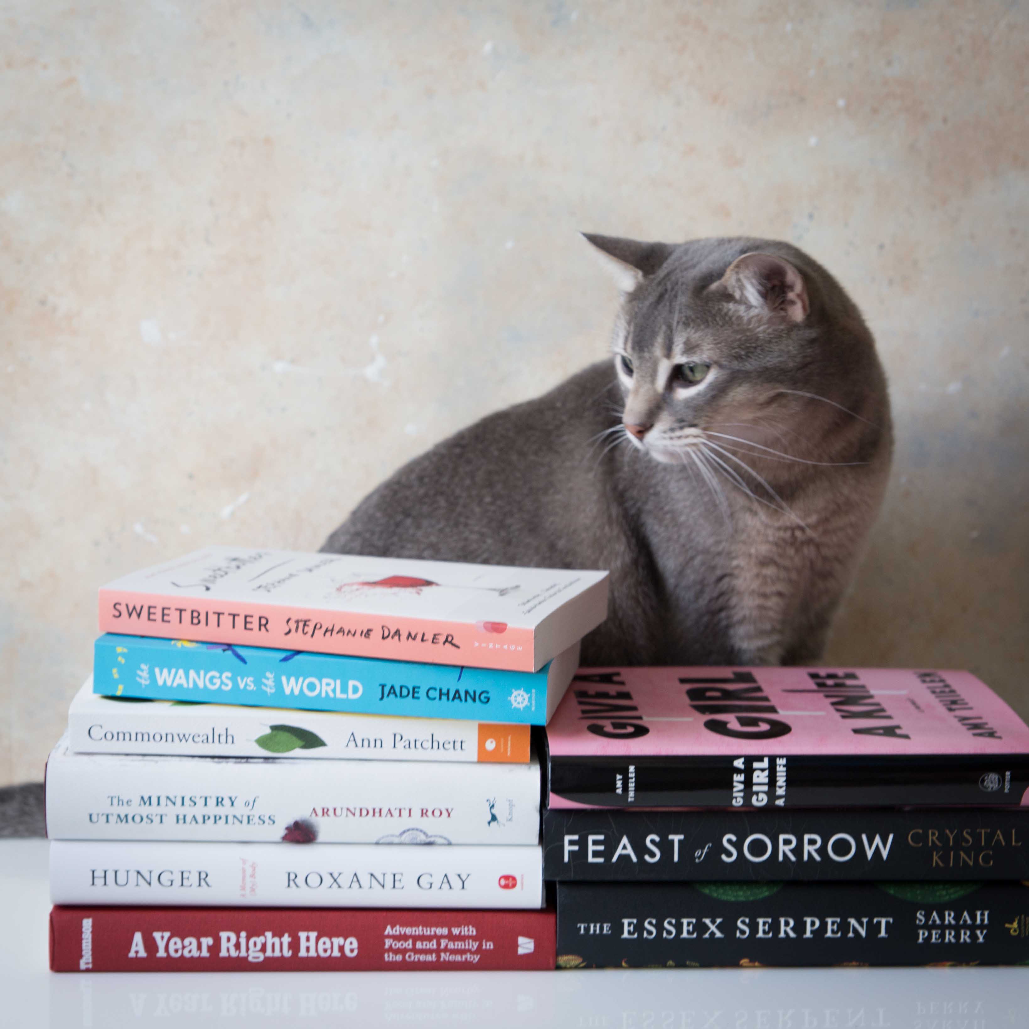 Cats on books. These are Chai's favorite 2017 summer reads